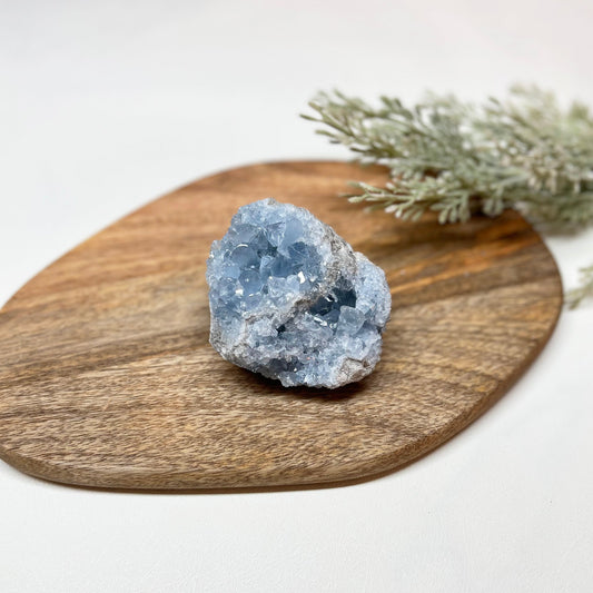 Celestite Geode - T1CR-2