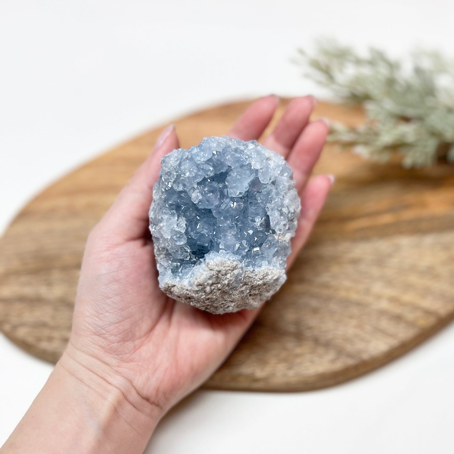 Celestite Geode - T1CR-3