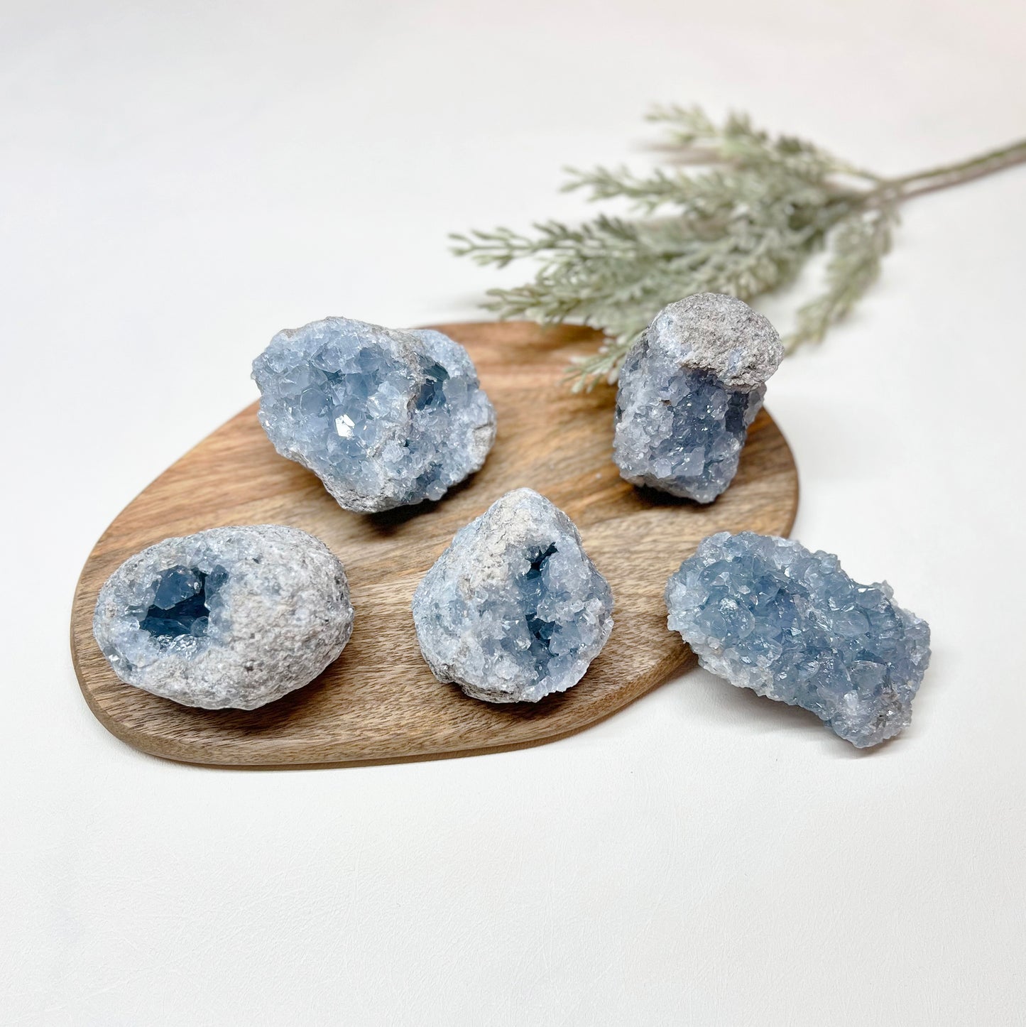 Celestite Geode - T1CR-1