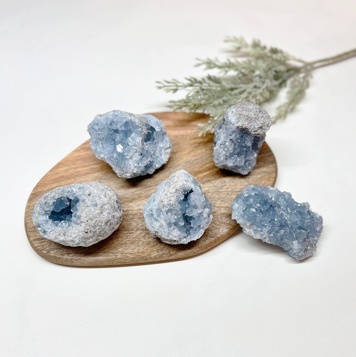 Celestite Geode - T1CR-5