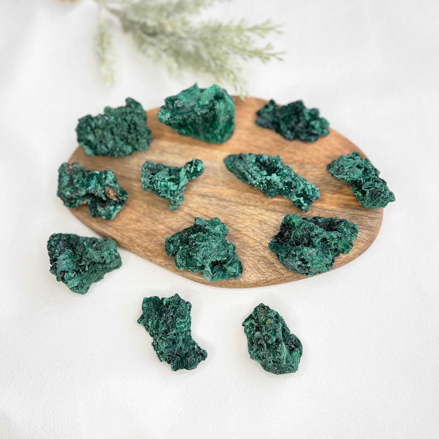 Silky Malachite